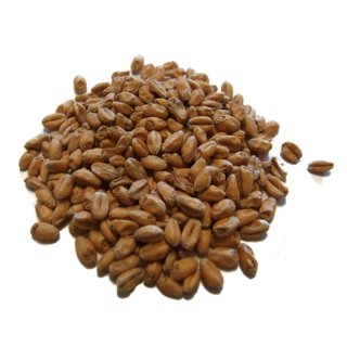 Weizen-Caramelmalz CARAWHEAT® (ca. 110-140 EBC)