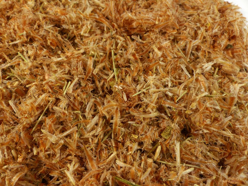 100g Fichtensprossen geschnitten