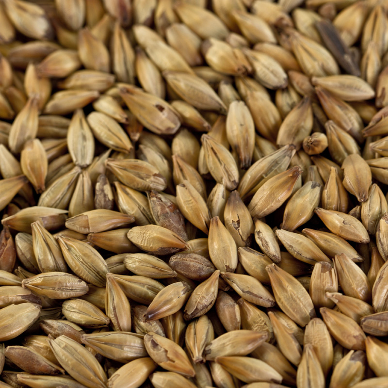 Caramelmalz hell Carahell für helle Biere EBC 20-30