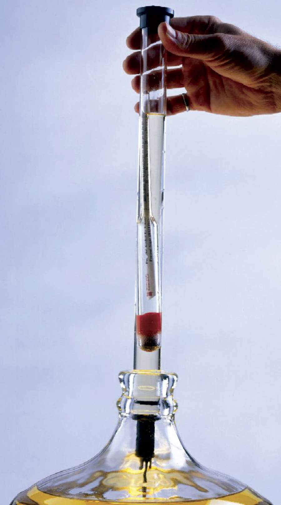 WINE THIEF Probeglass + Messzylinder in einem