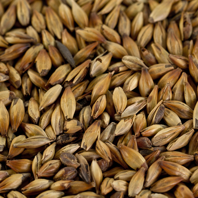 Caramelmalz Caramünch® 3 für dunkle Biere EBC 140-160