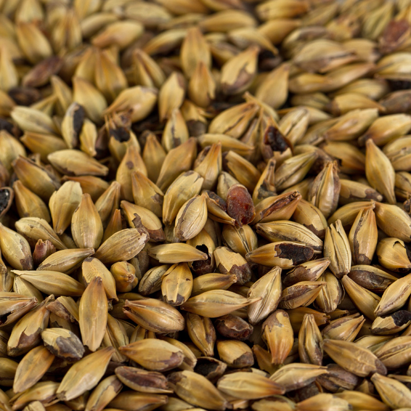 Caramelmalz Caramünch 1 für dunkle Biere EBC 80-100