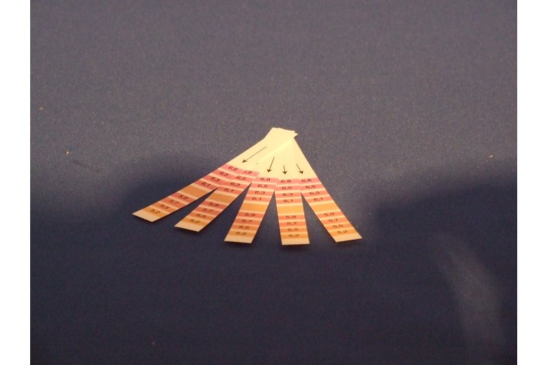 PH Teststreifen (10 Stück), pH 3,8 - 5,5 mit farbiger Skala zur Bestimmung des pH Wertes in Flüssigk