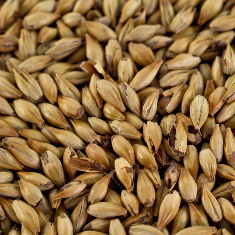 Caramelmalz Carared für Braunbiere EBC 40-50