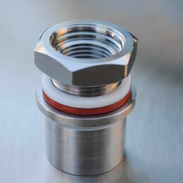 Ss Brewtech™ Schottverschraubung 1/2" FPT