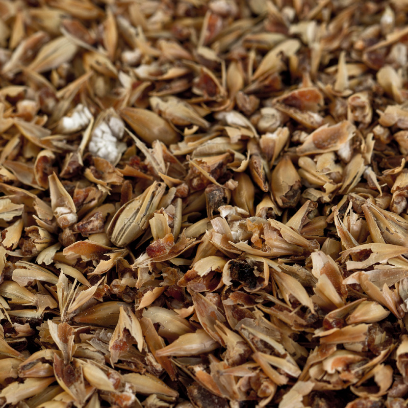 Caramelmalz Carared® für Braunbiere EBC 40-50 geschrotet