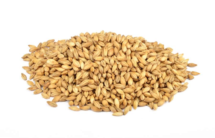 Whiskymalz  leicht getorft EBC 4,0