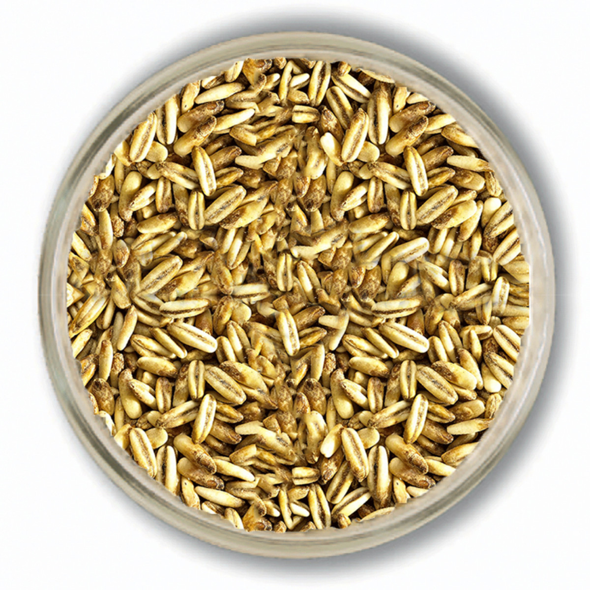 25 kg Hafermalz- Sackware ungeschrotet