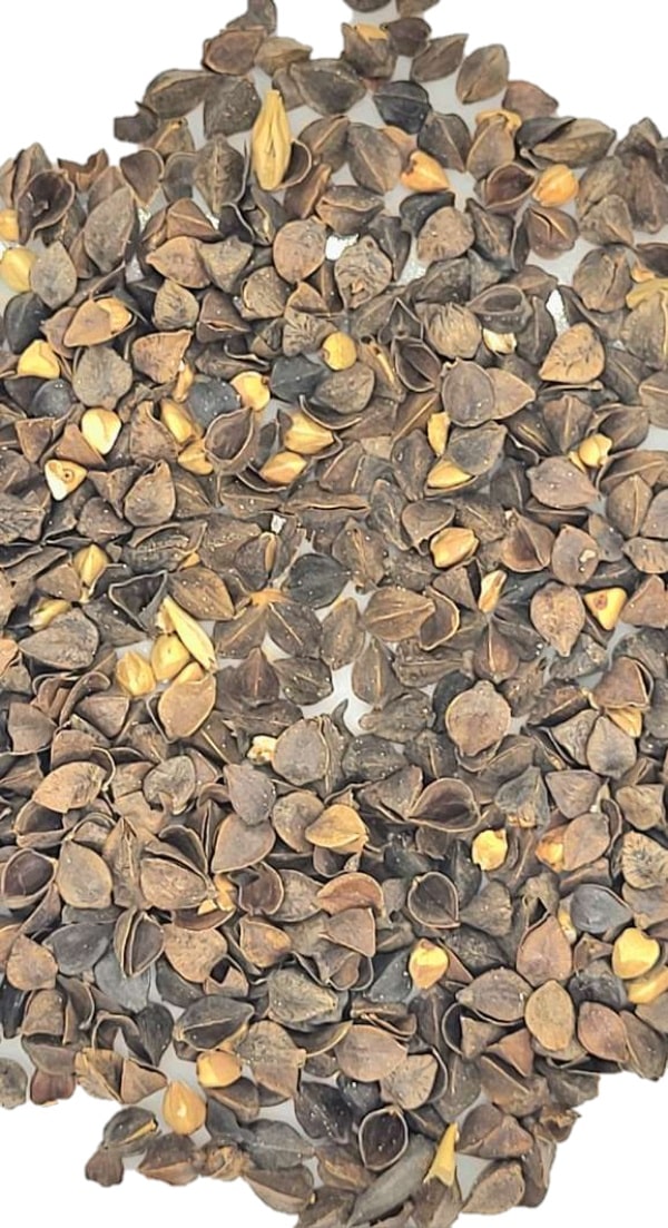 Buchweizen Malz für glutenfreies Bier EBC 4-15 