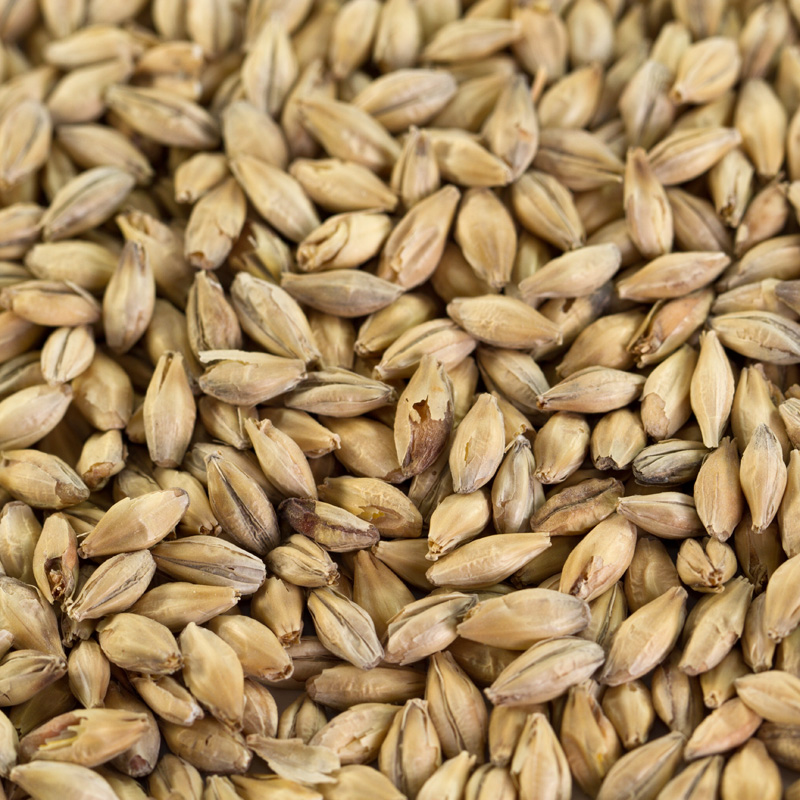 Böhmisches Tennenmalz EBC 3,5-5,0