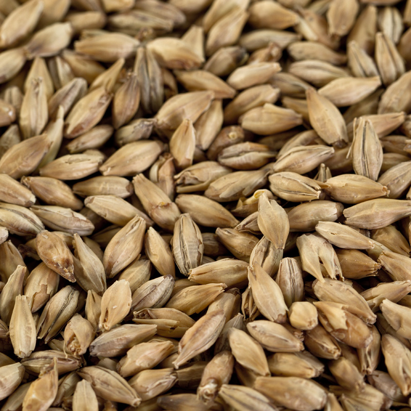 Rauchmalz für Rauchbiere, Lagerbiere, Kellerbiere EBC 3-6