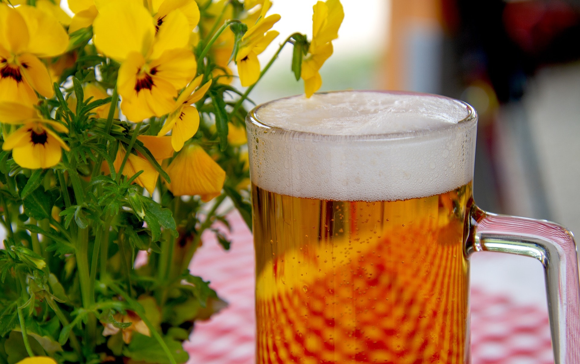 Das perfekte Sommer-Bier – 5 Biersorten für heiße Tage