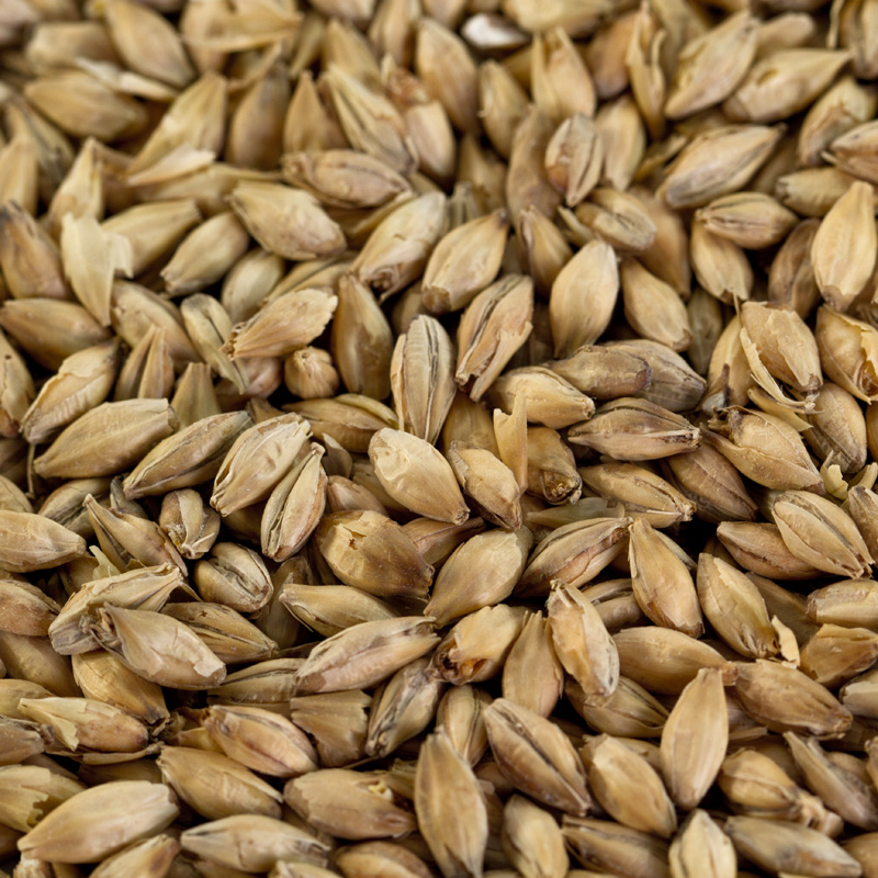 Gerstendiastasemalz EBC 2,5 - 4