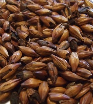 Karamelmalz Special W® (250-300 EBC) von Weyermann®