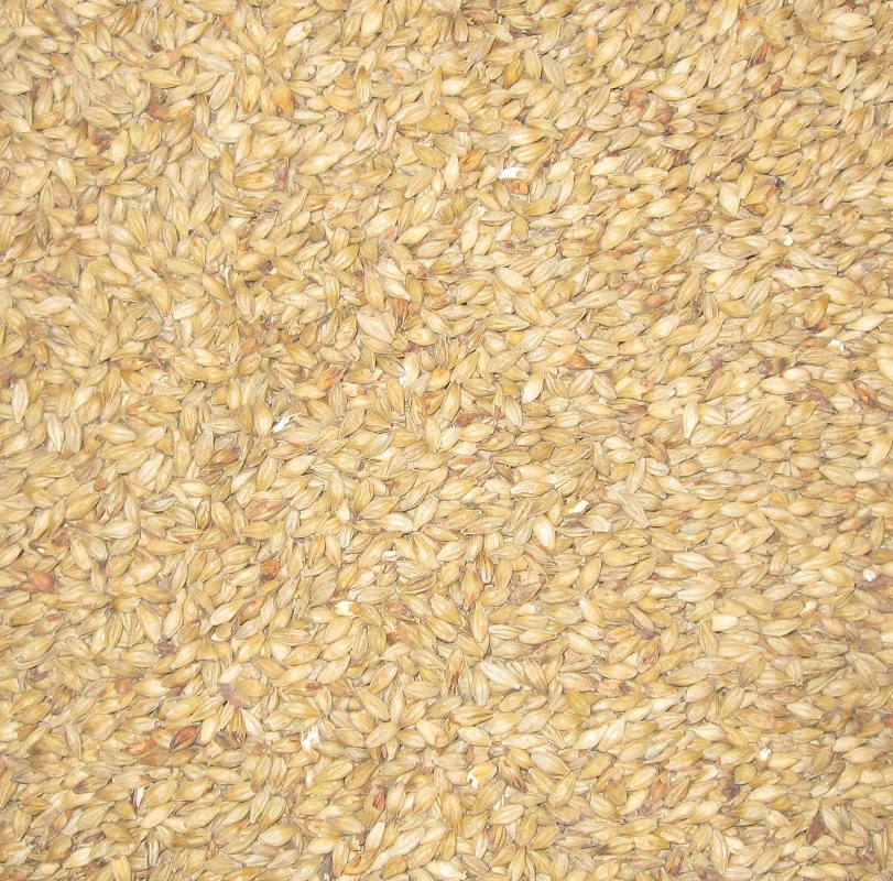 Abbey (Kloster) Malz 40-50 EBC