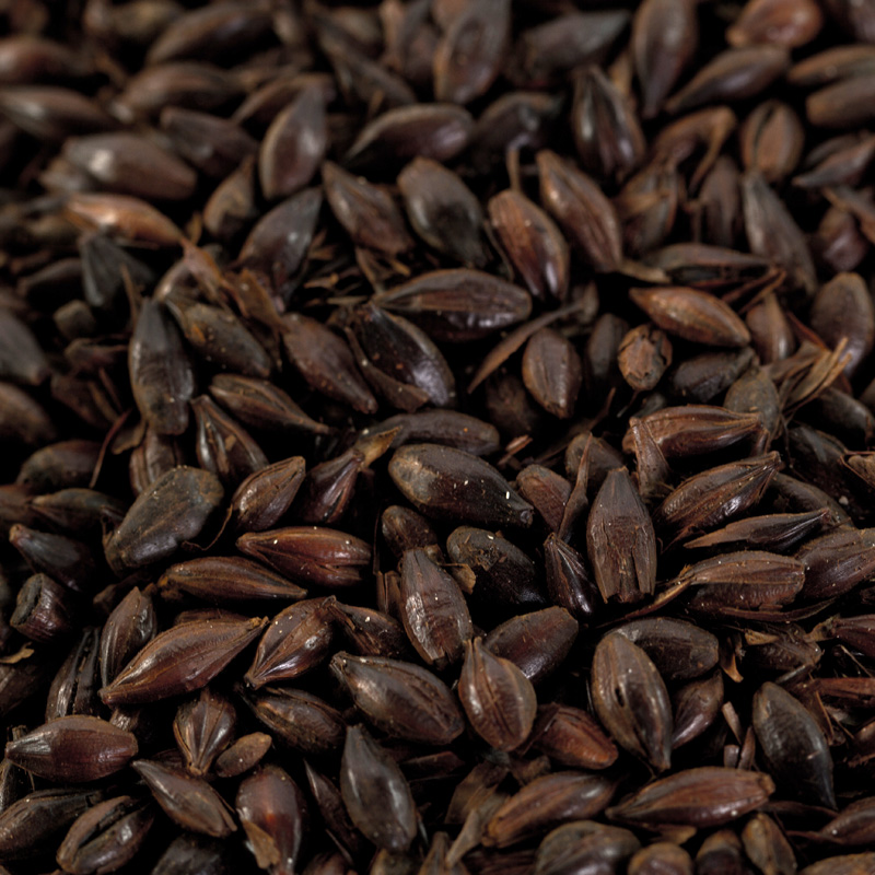 Farbmalz Carafa 2 für dunkle Biere EBC 1100-1200