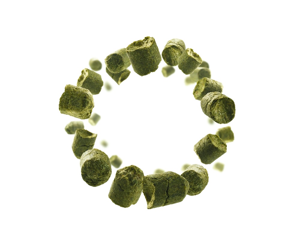 frische grünlich Hopfenpellets aus der Natur zum Bierbrauen 